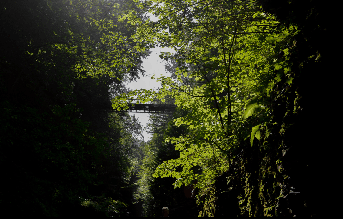Nature landscape photography