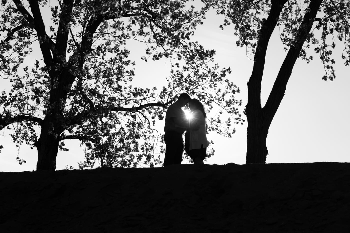 Silhouette beneath the trees